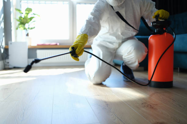 Pest Control Cost in Maggie Valley, NC