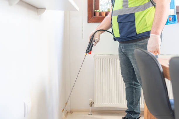 Best Cockroach Control Services  in Maggie Valley, NC
